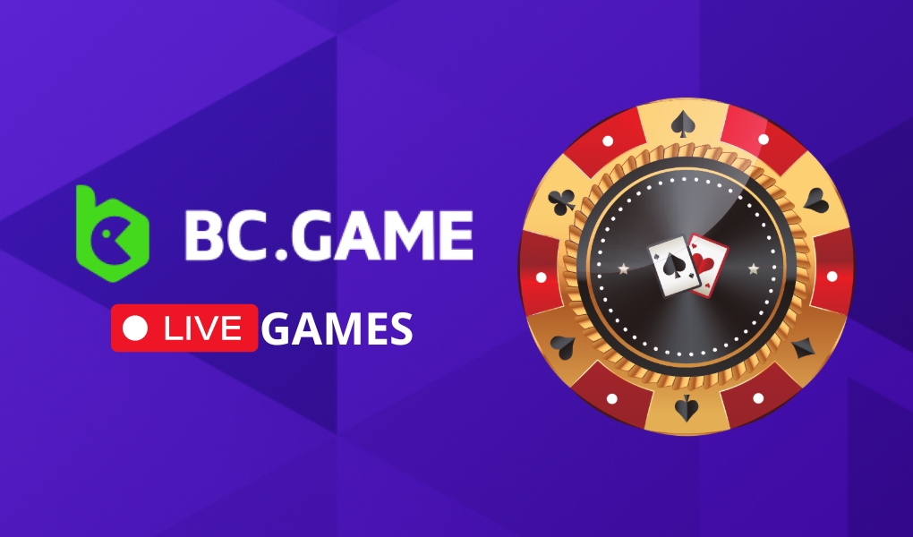 Exploring the Excitement of BC Game Your Gateway to Crypto Gaming