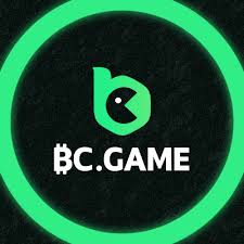 Exploring the Exciting World of BC.CO Game 22